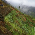 The Uncut The Integral