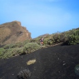 The Lava Lava