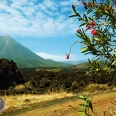 The best of Cape Verde / 
