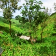 Adventure & Natural Spectacles / 